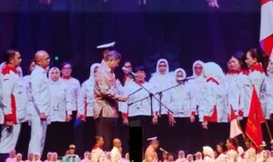 program (8)